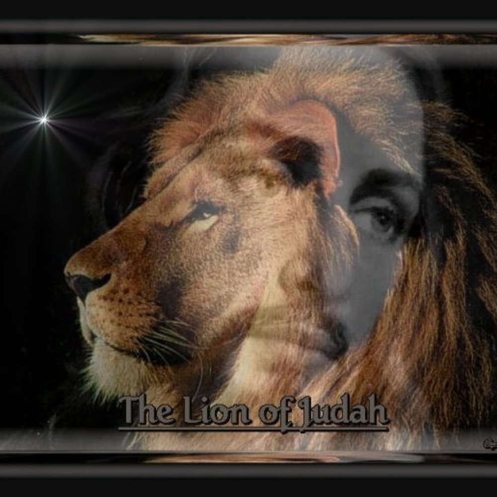 Meet your Posher, Penny